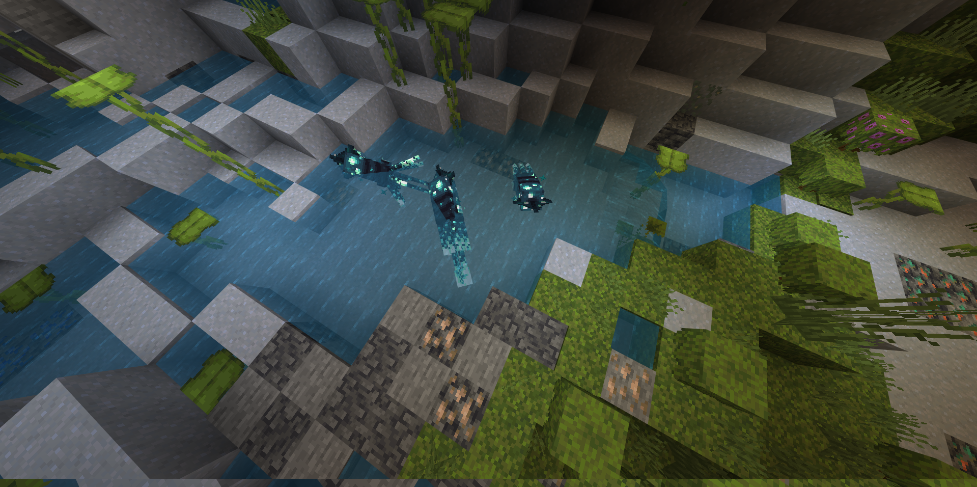 An image from the squid remodeled project